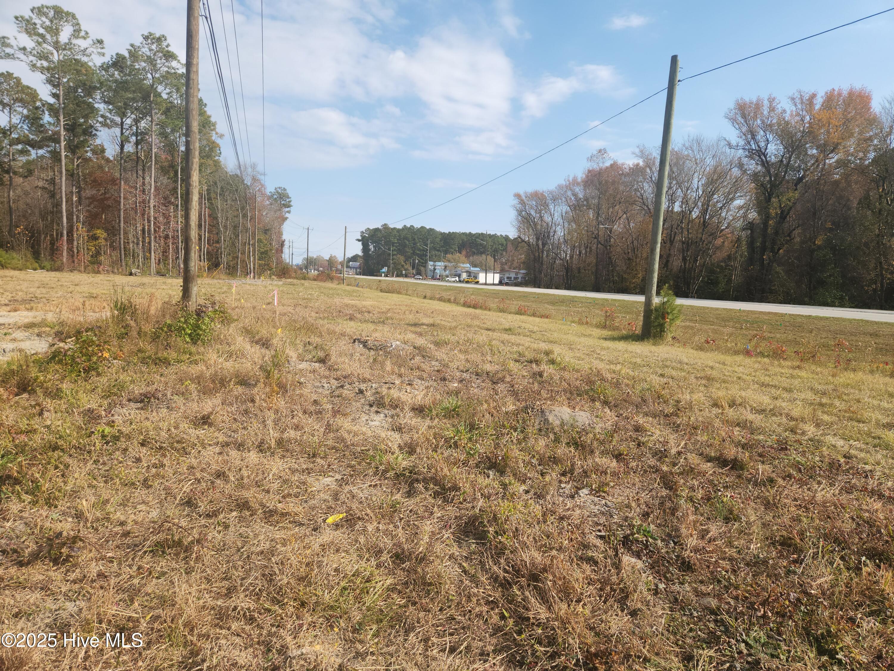 12 Acres Dr Mlk Jr Boulevard Property Photo 5