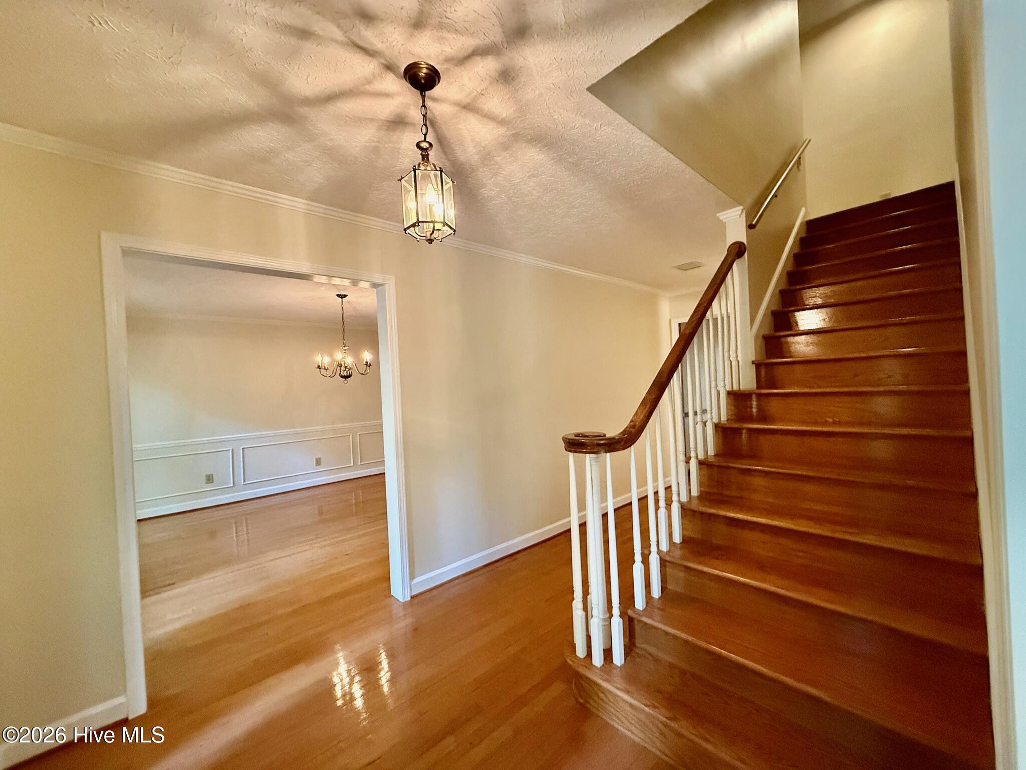 829 Williamsburg Drive Property Photo 5