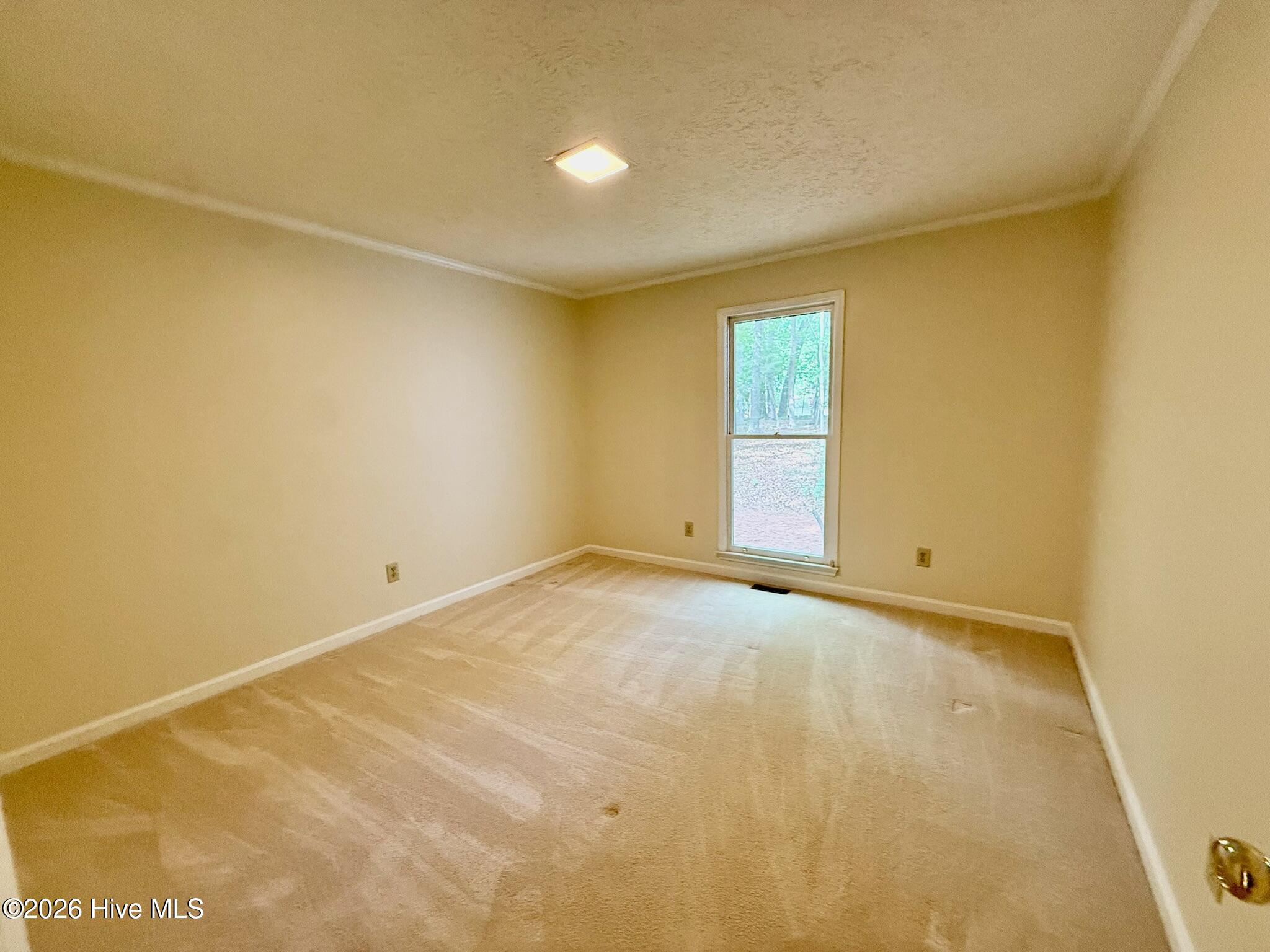 829 Williamsburg Drive Property Photo 23