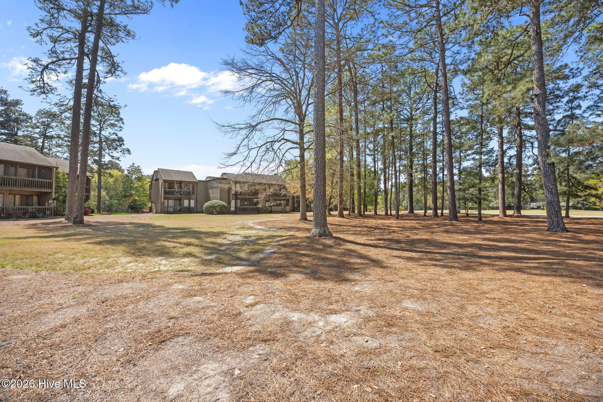 10 Pine Tree Road # 209 Property Photo 37