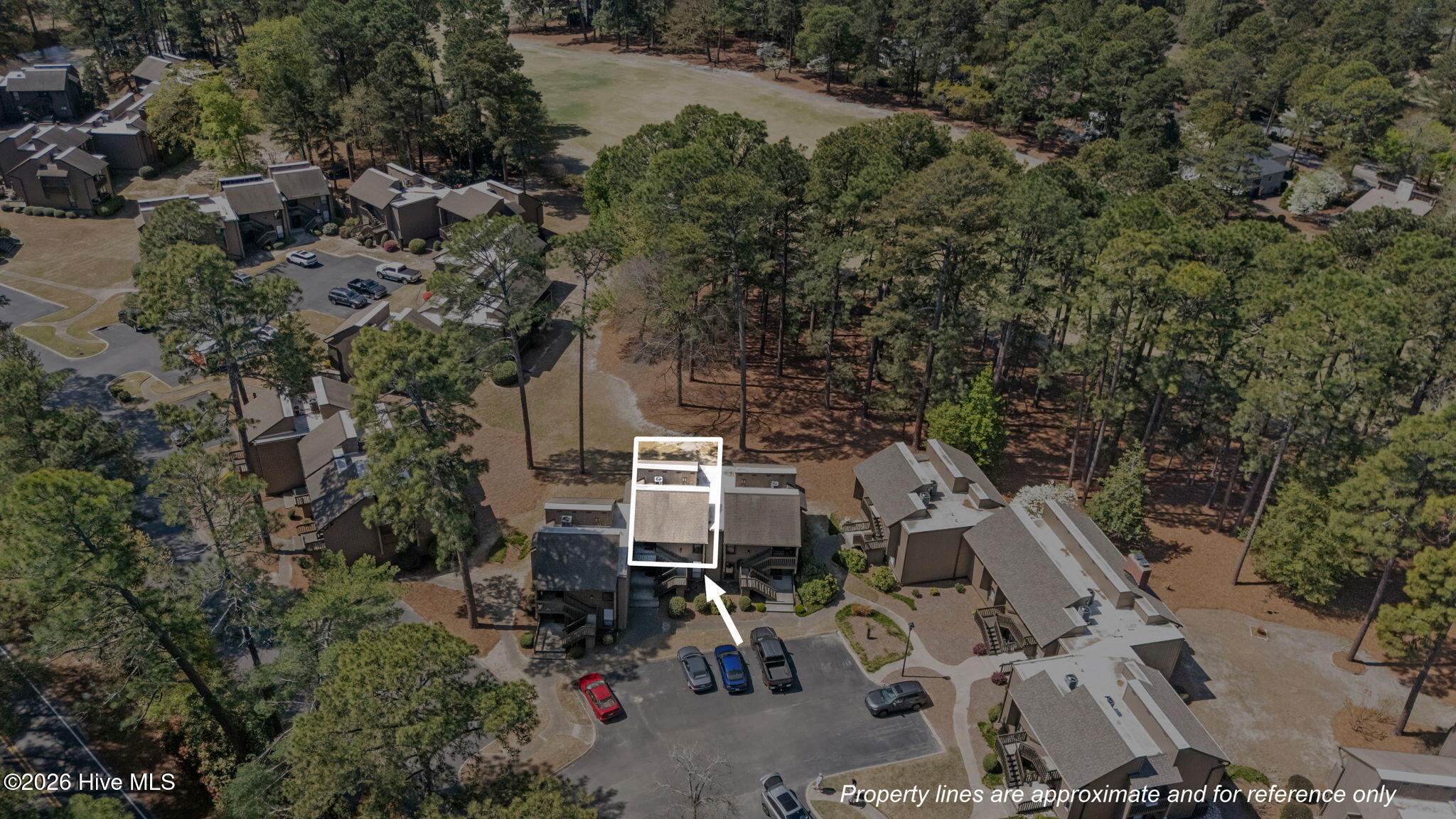 10 Pine Tree Road # 209 Property Photo 38