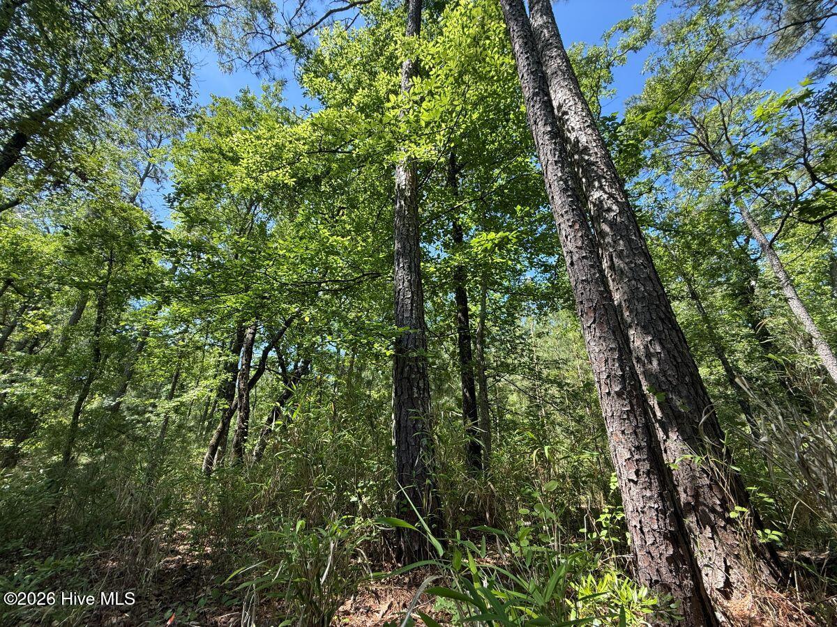 Lot 27 Sunset Point Property Photo 32