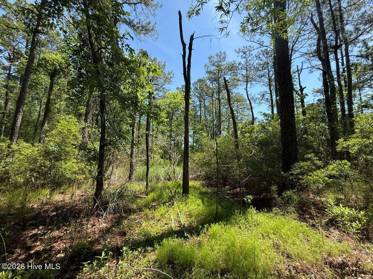 Lot 27 Sunset Point Property Photo 33