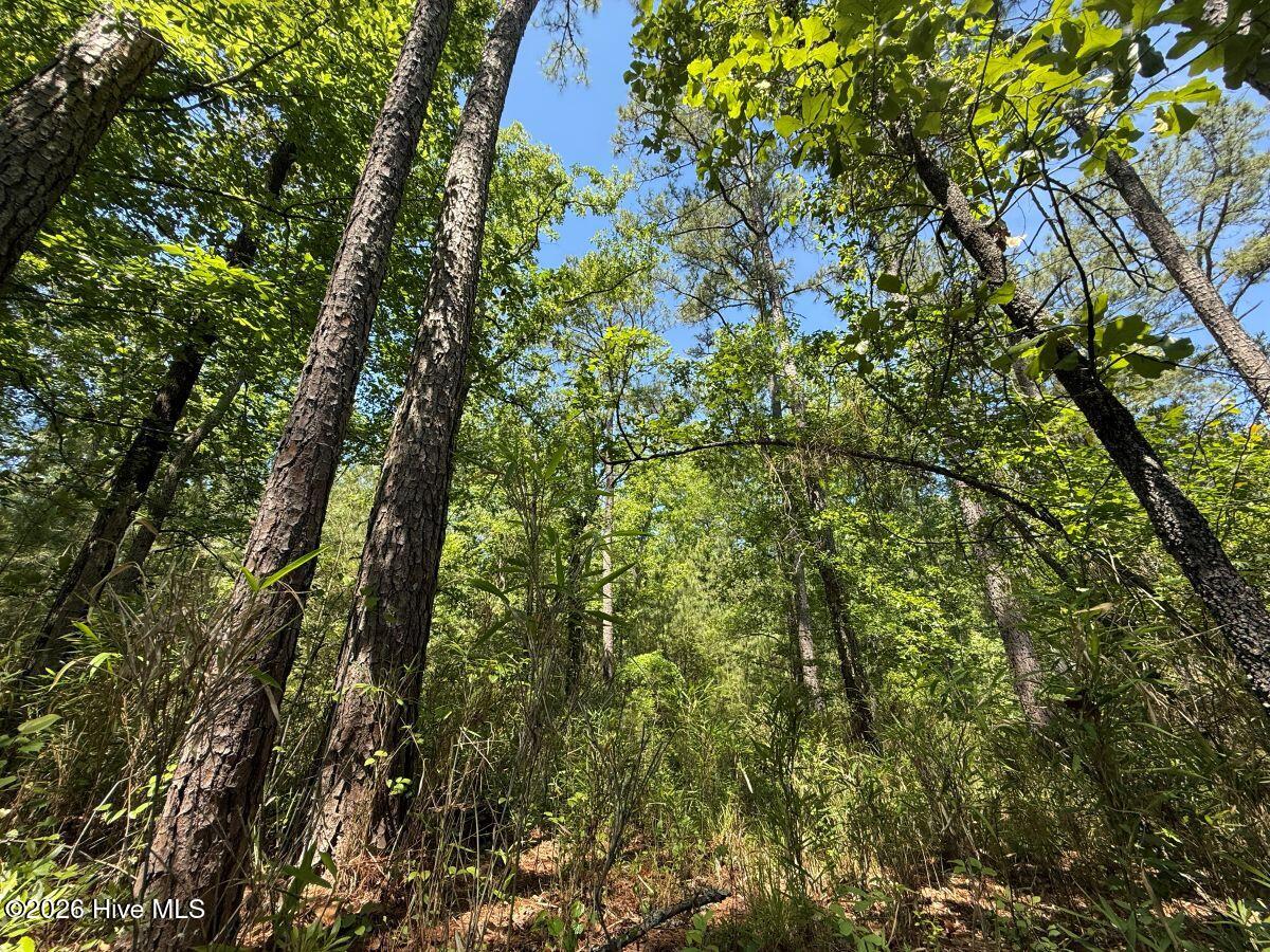 Lot 27 Sunset Point Property Photo 34