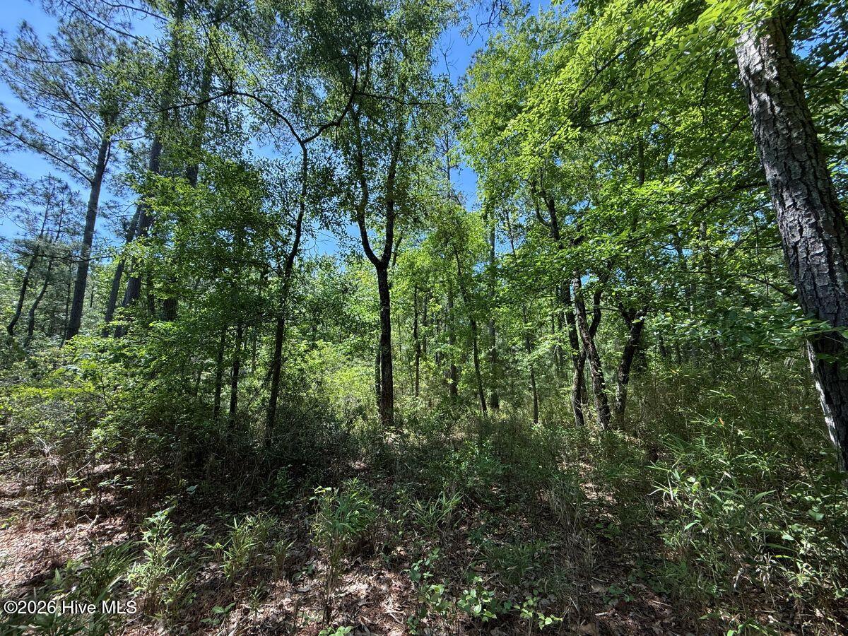 Lot 27 Sunset Point Property Photo 35