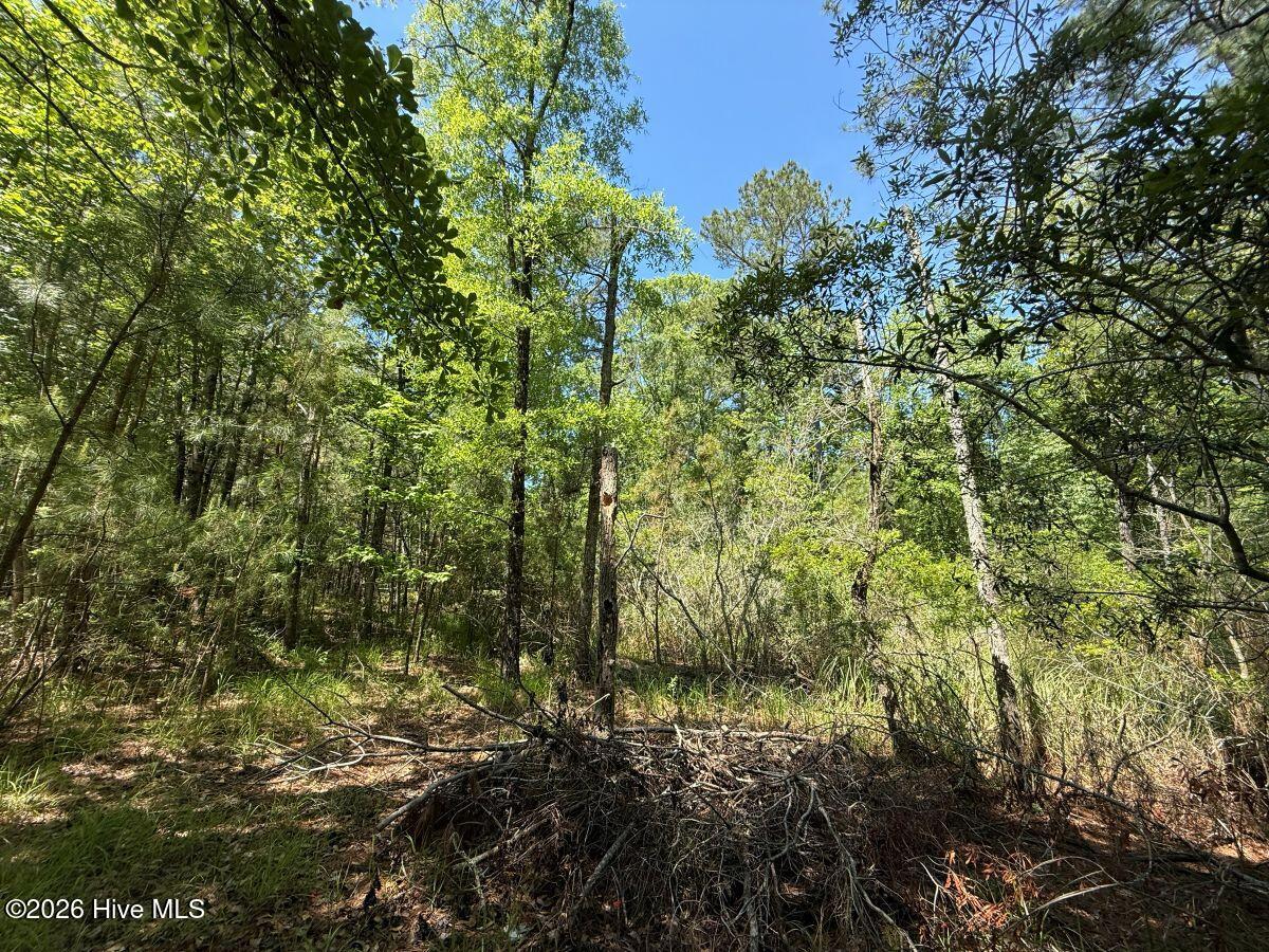 Lot 27 Sunset Point Property Photo 37