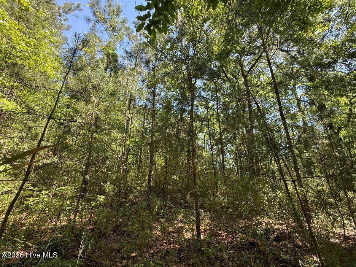 Lot 27 Sunset Point Property Photo 38