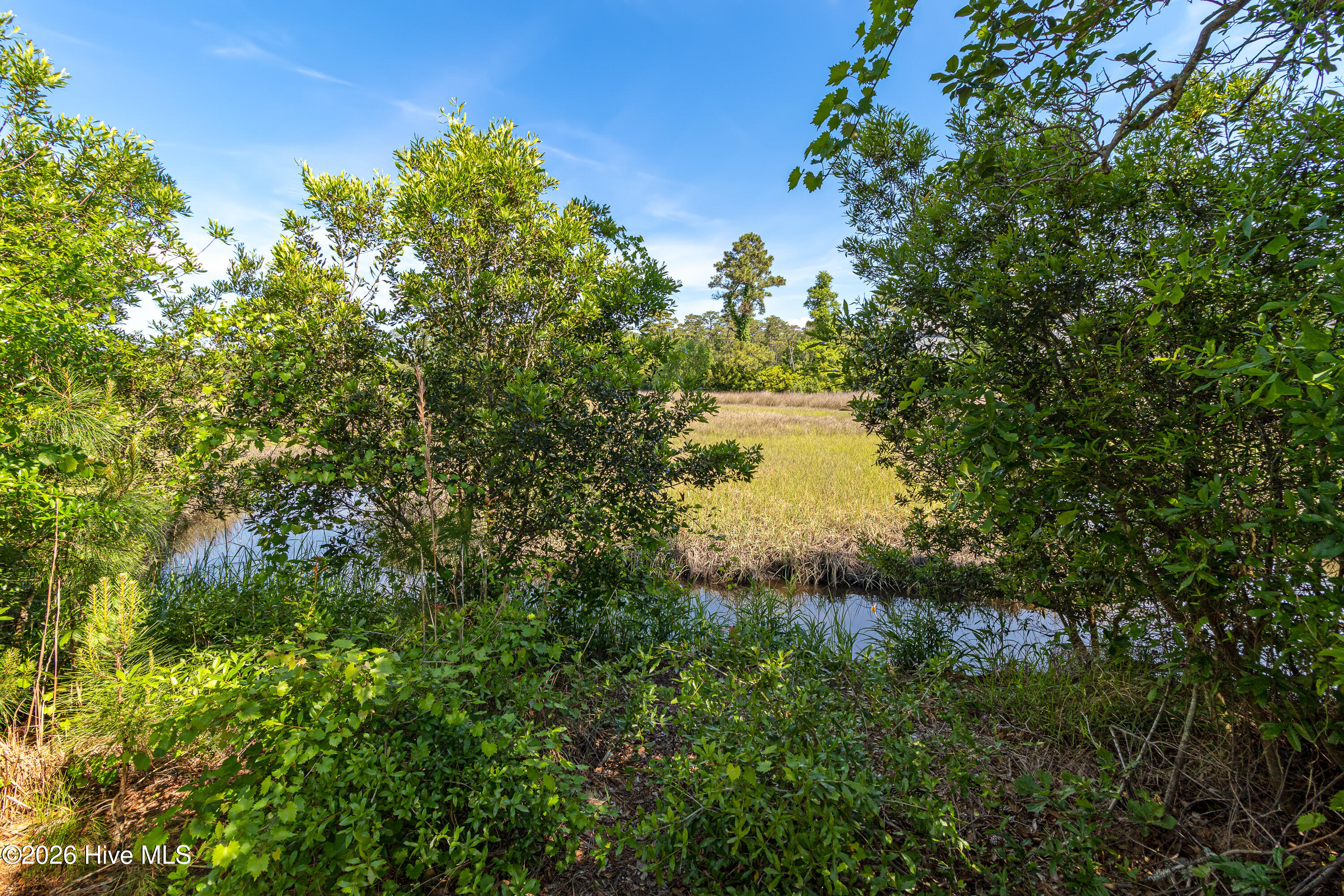 112 Sweet Grass Trail Property Photo 5