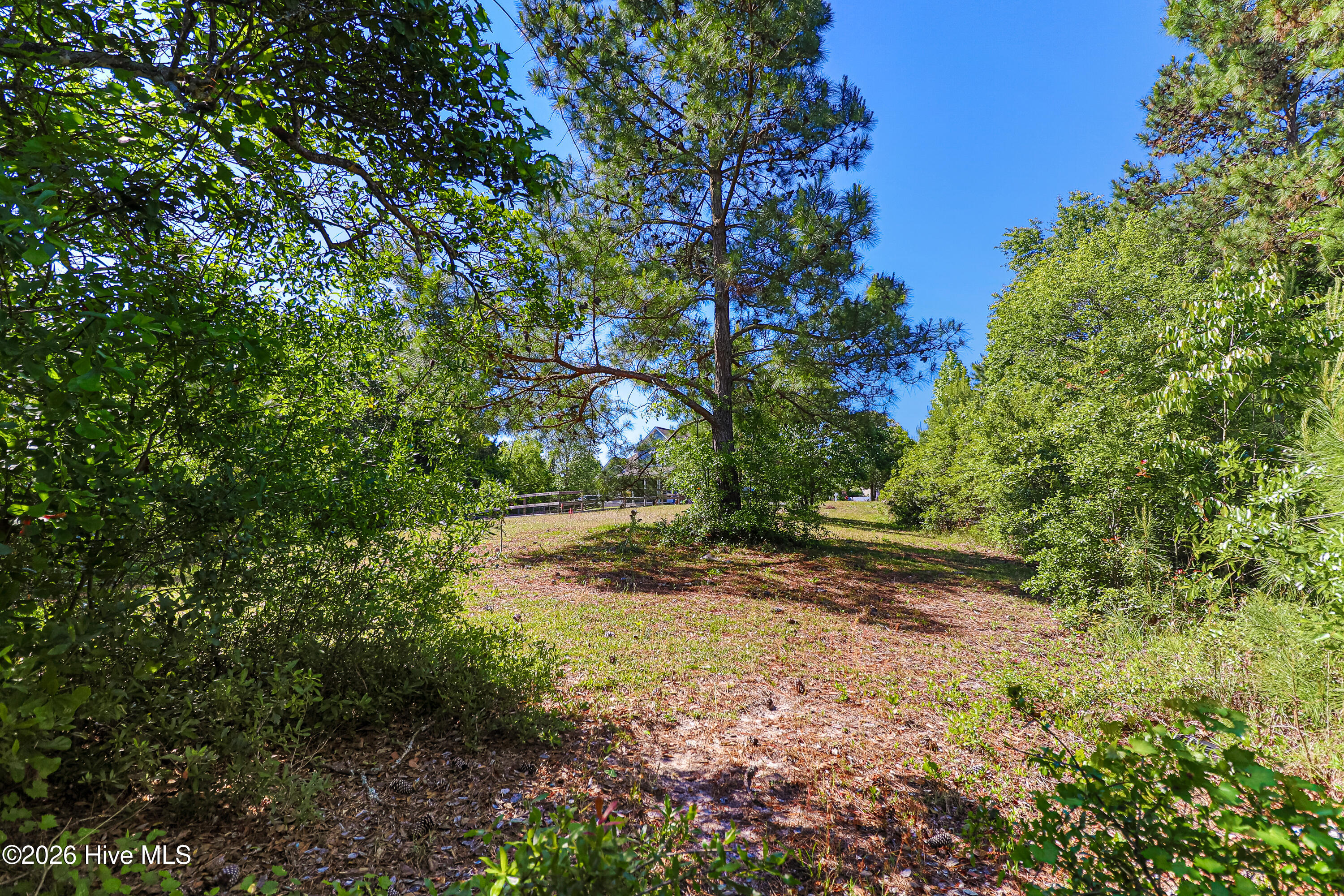112 Sweet Grass Trail Property Photo 9