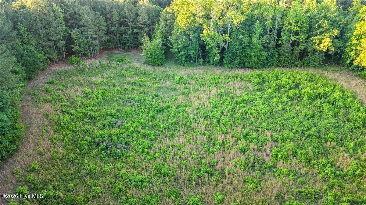 0 Pendergrass Drive Property Photo 5