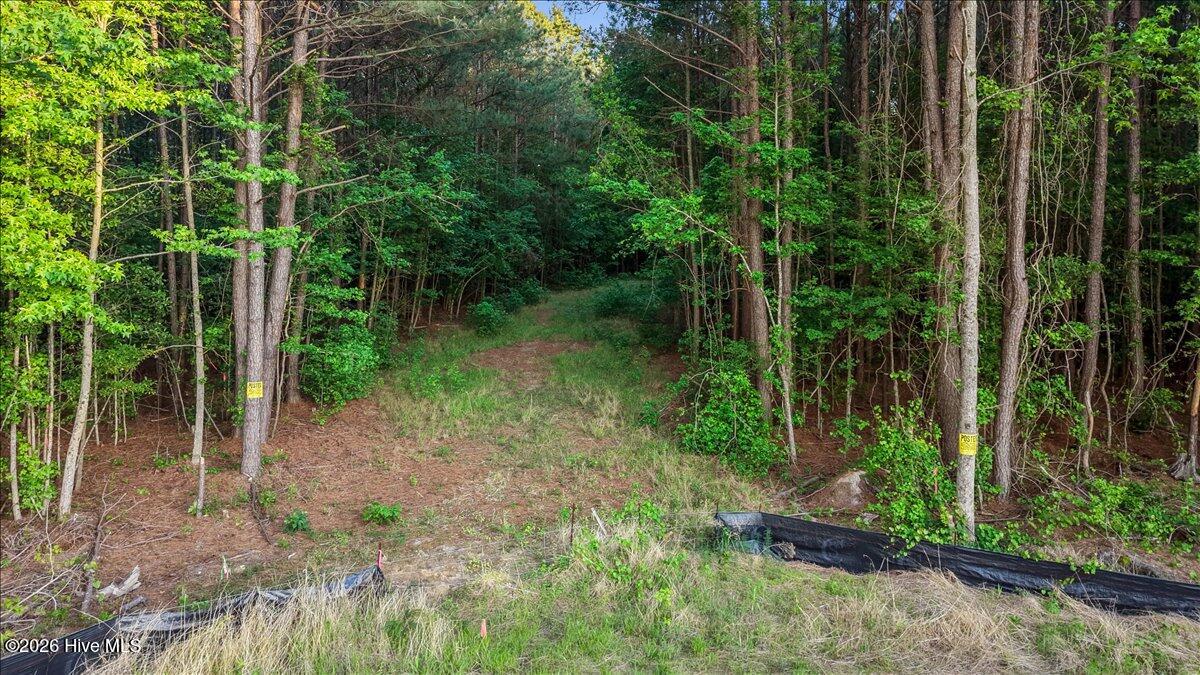0 Pendergrass Drive Property Photo 7