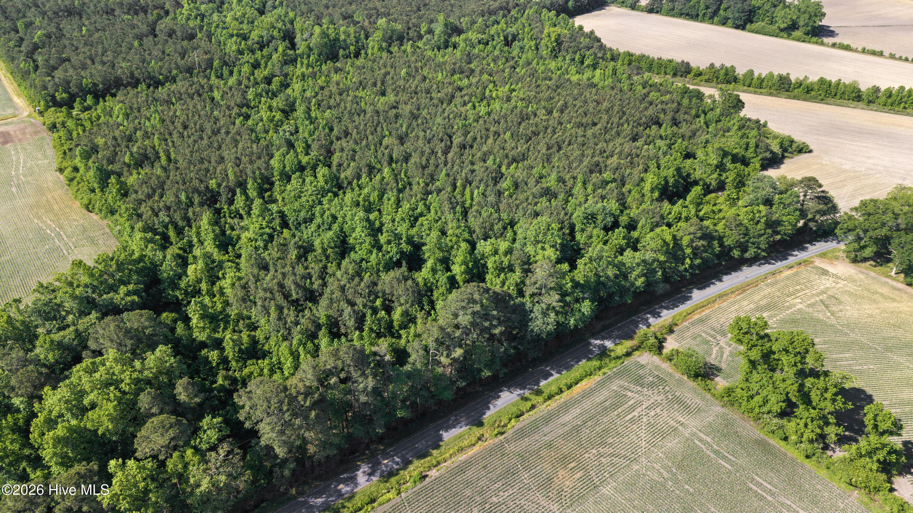 26 Acres High School Road Property Photo 20