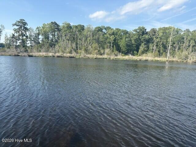 0 Treasure Pointe Drive Property Photo 3