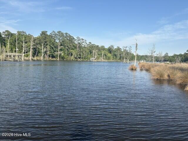 0 Treasure Pointe Drive Property Photo 8