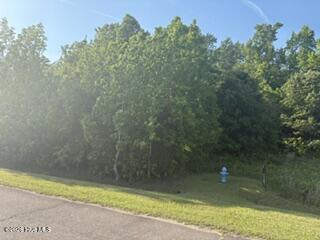 0 Treasure Pointe Drive Property Photo 12