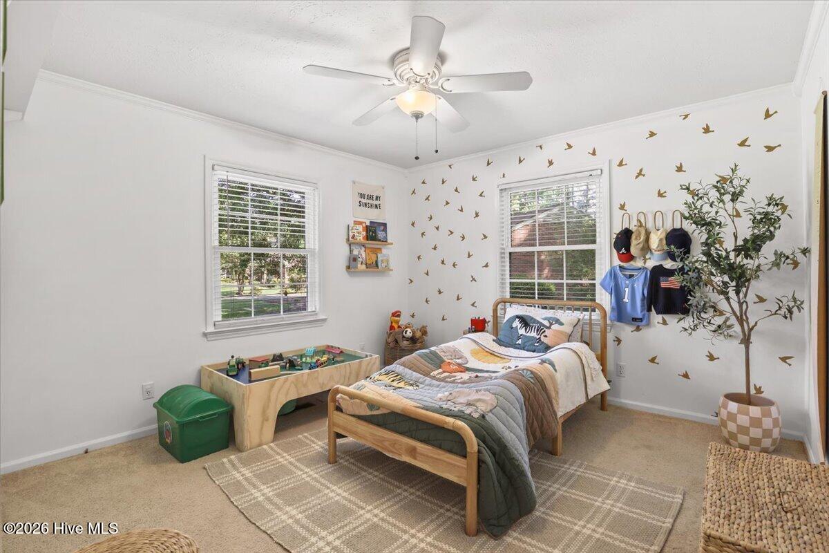 209 Myrtle Road Property Photo 31
