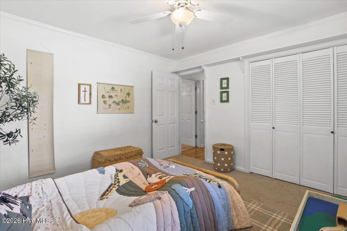 209 Myrtle Road Property Photo 32