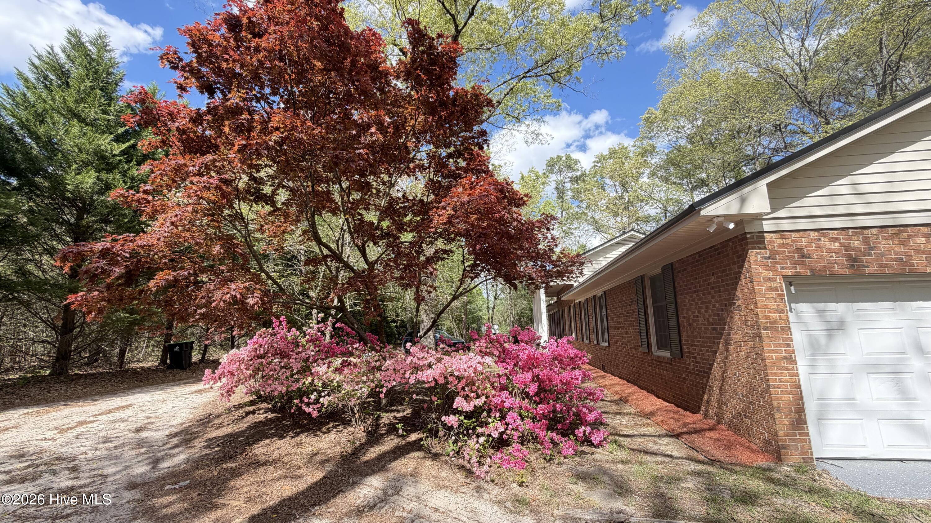 107 Azalea Trail Property Photo 51