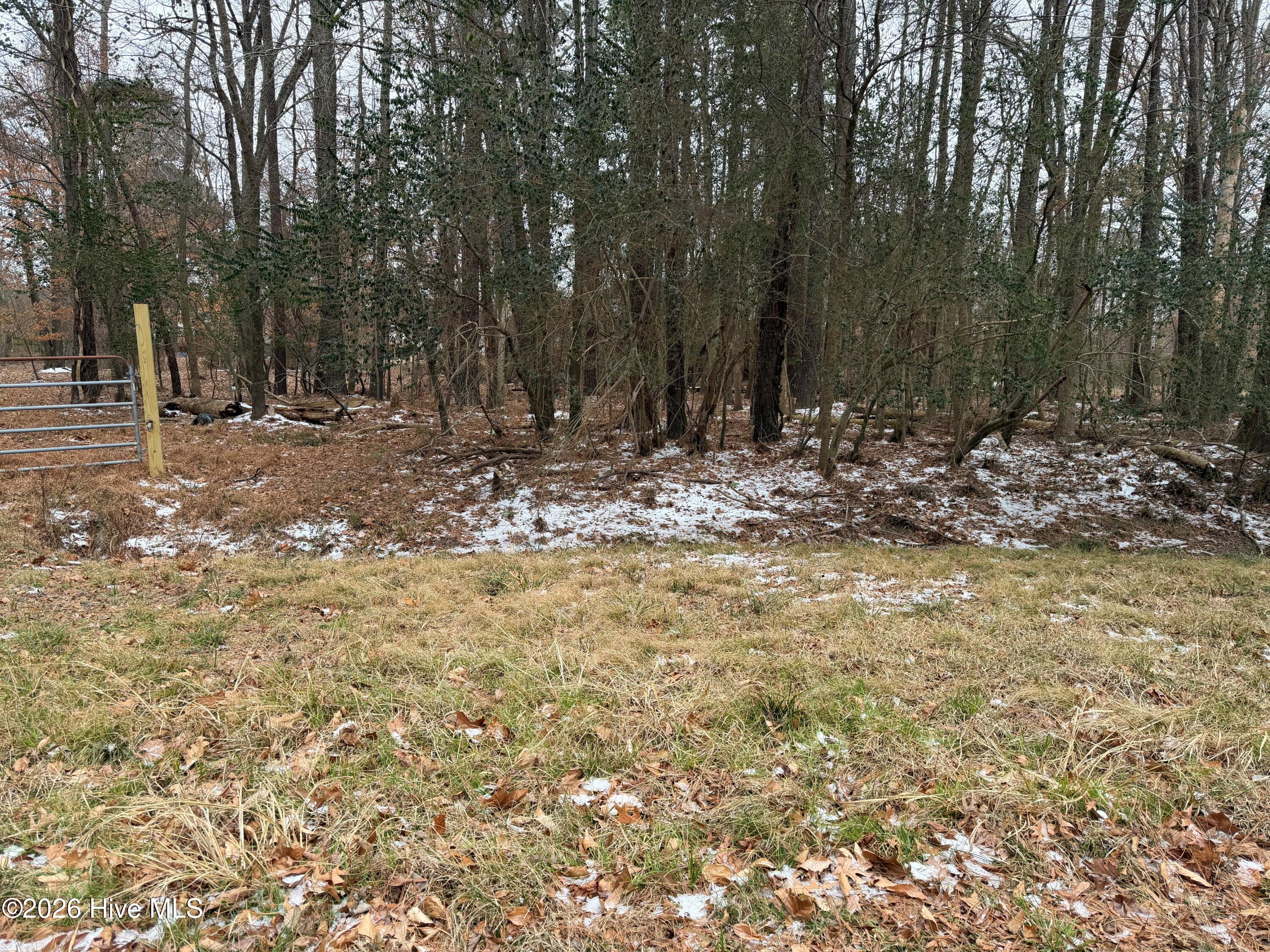 314 End Mansill Drive Property Photo 2