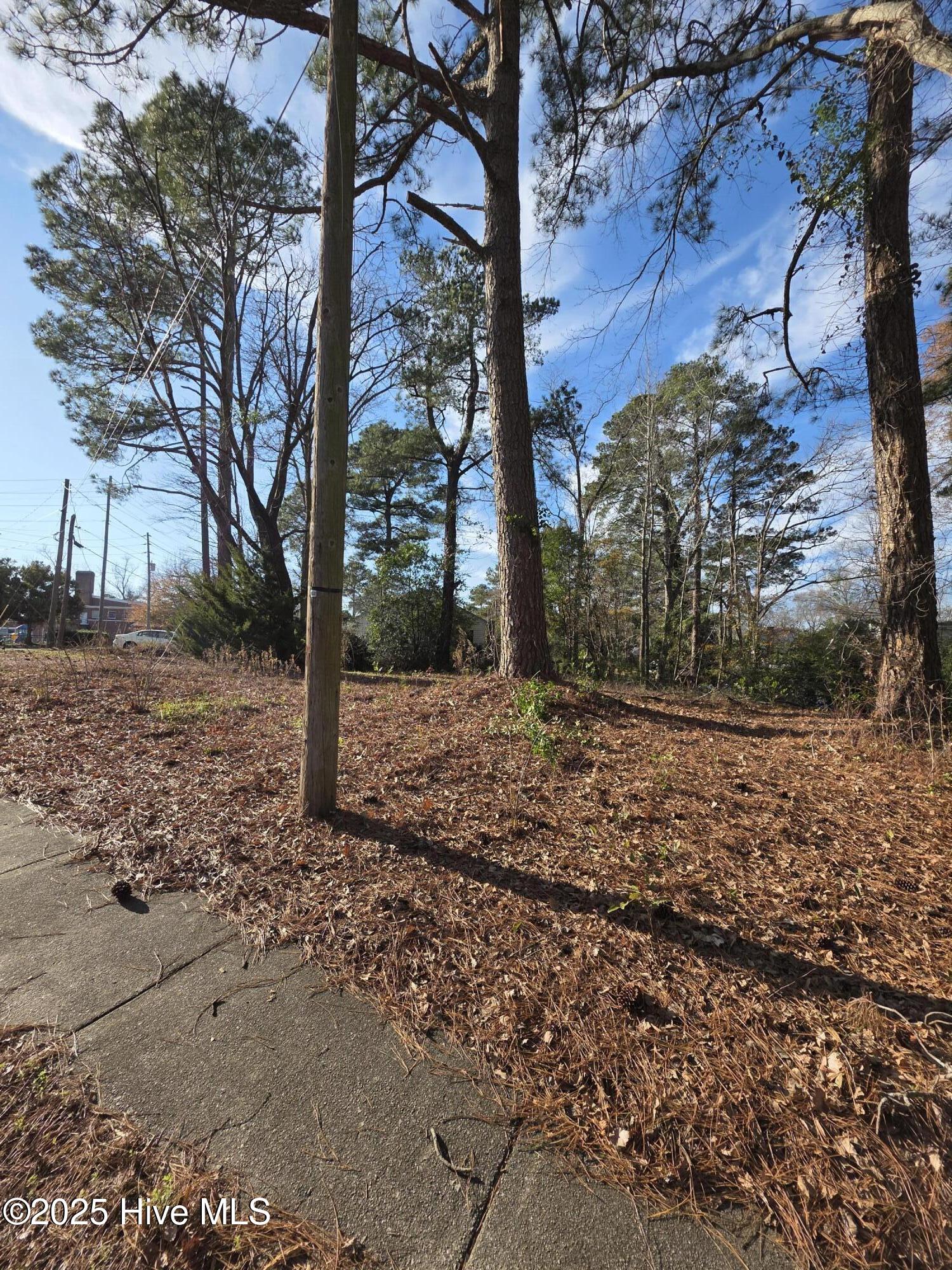 404 Summit Avenue Property Photo 4