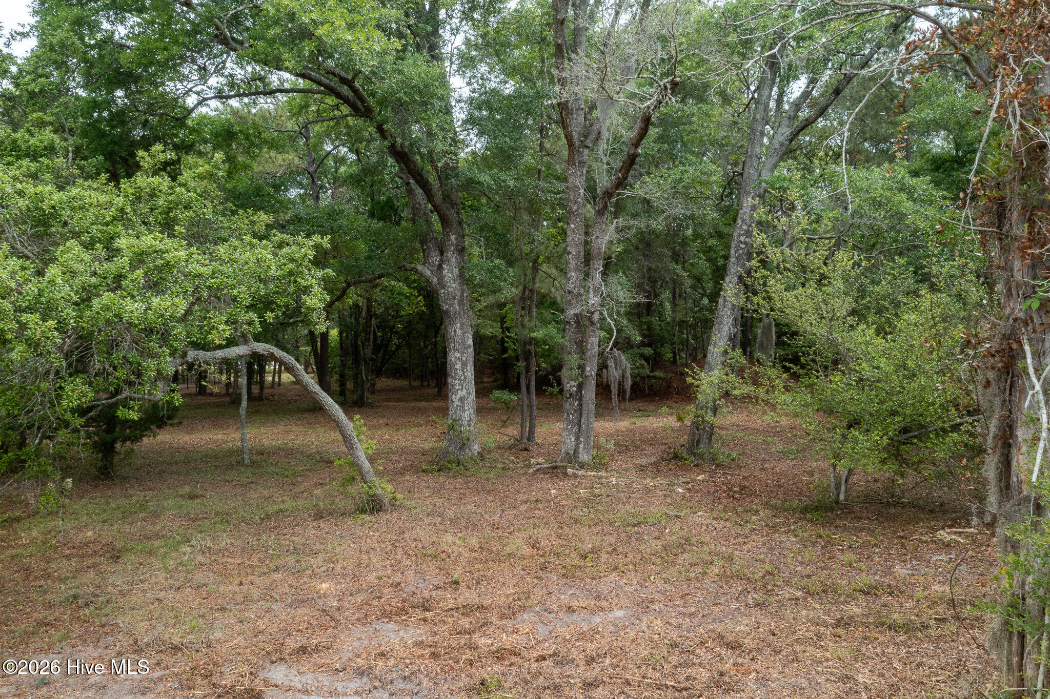 3331 435 Stone Crab Court Sw Property Photo 6