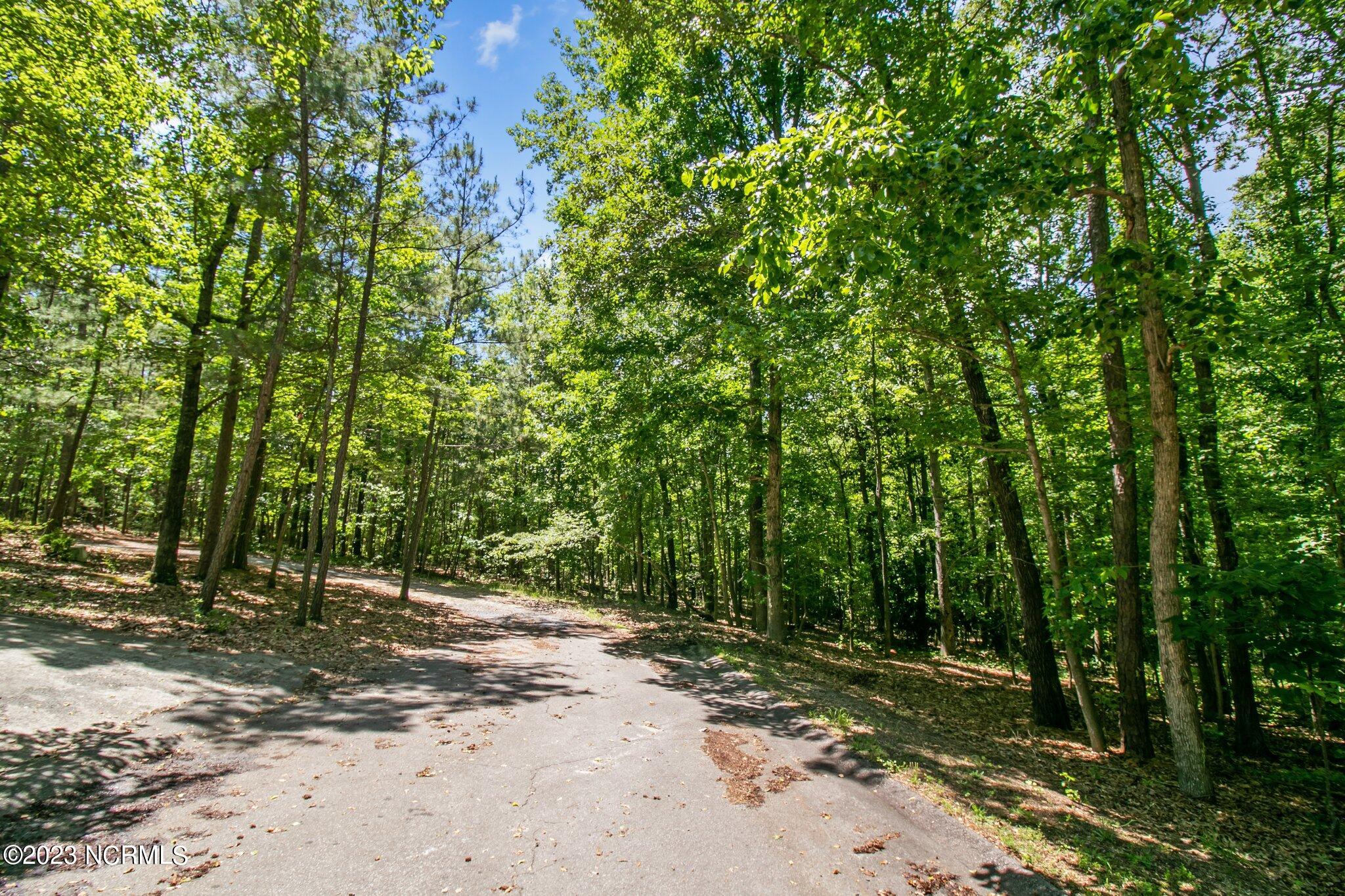 Tbd Buggy Drive W Property Photo 1