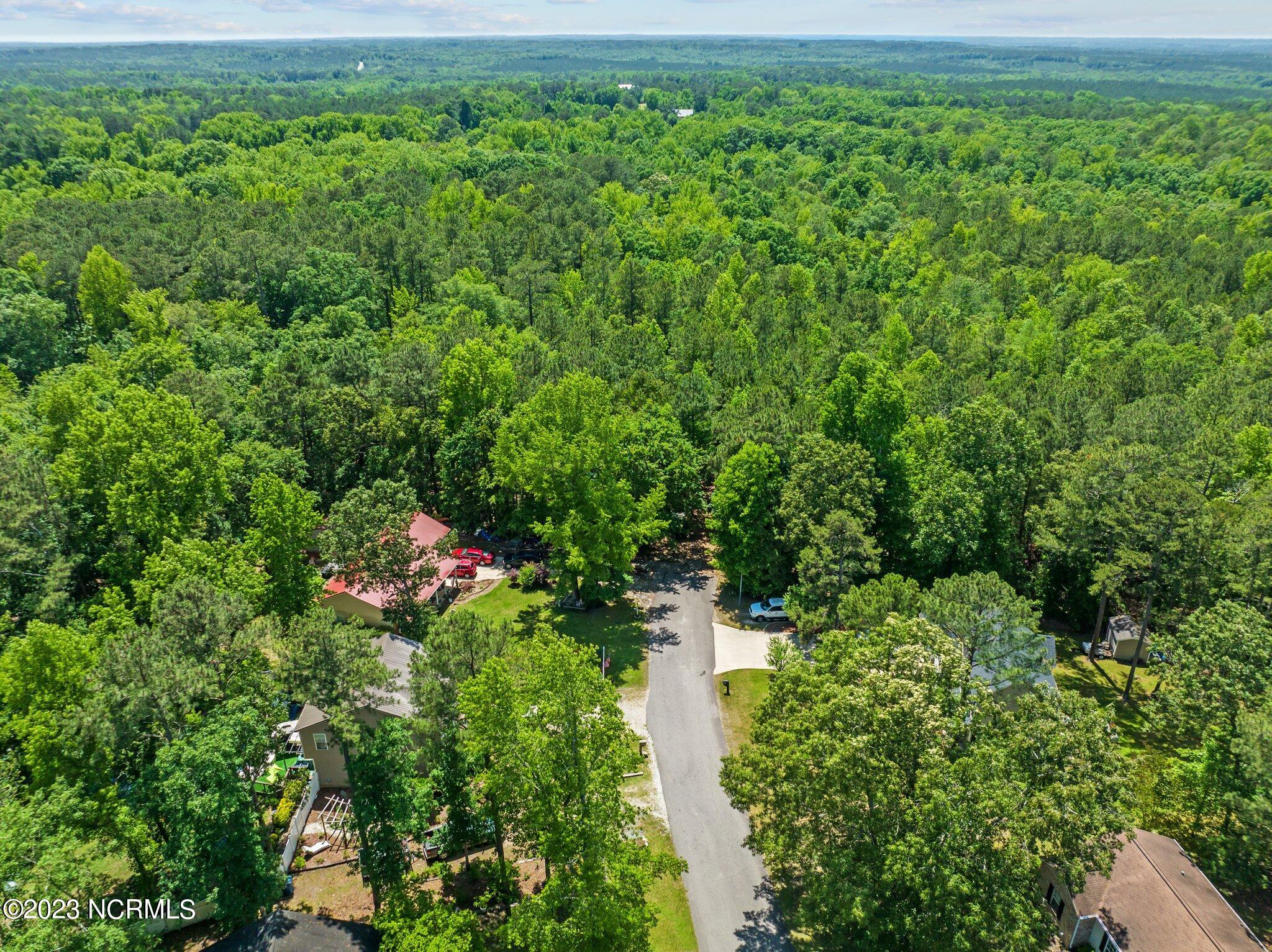 Tbd Buggy Drive W Property Photo 3