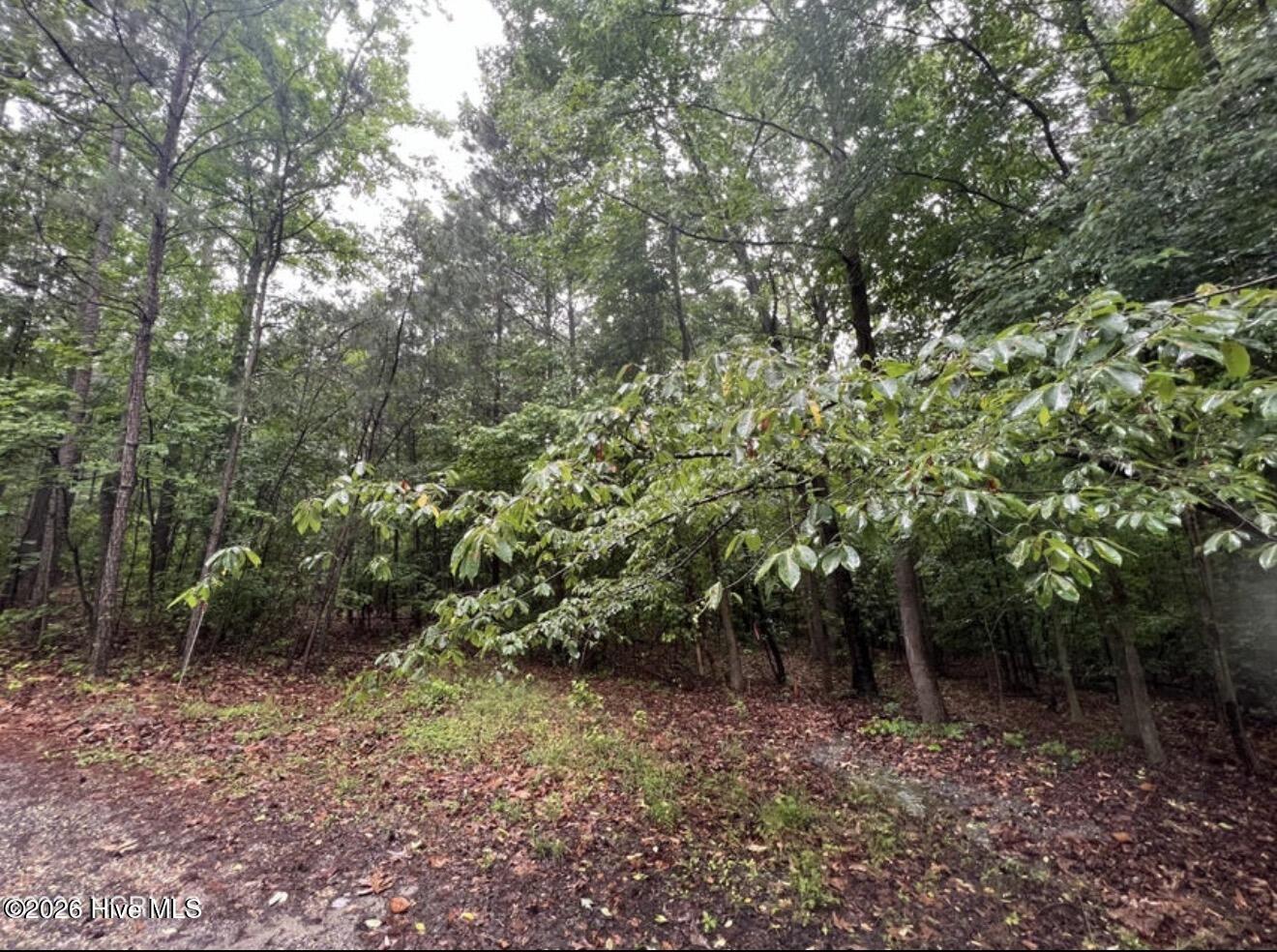 Tbd Buggy Drive W Property Photo 10
