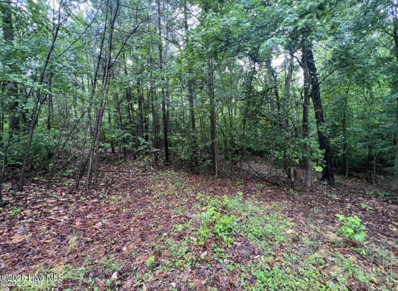 Tbd Buggy Drive W Property Photo 11