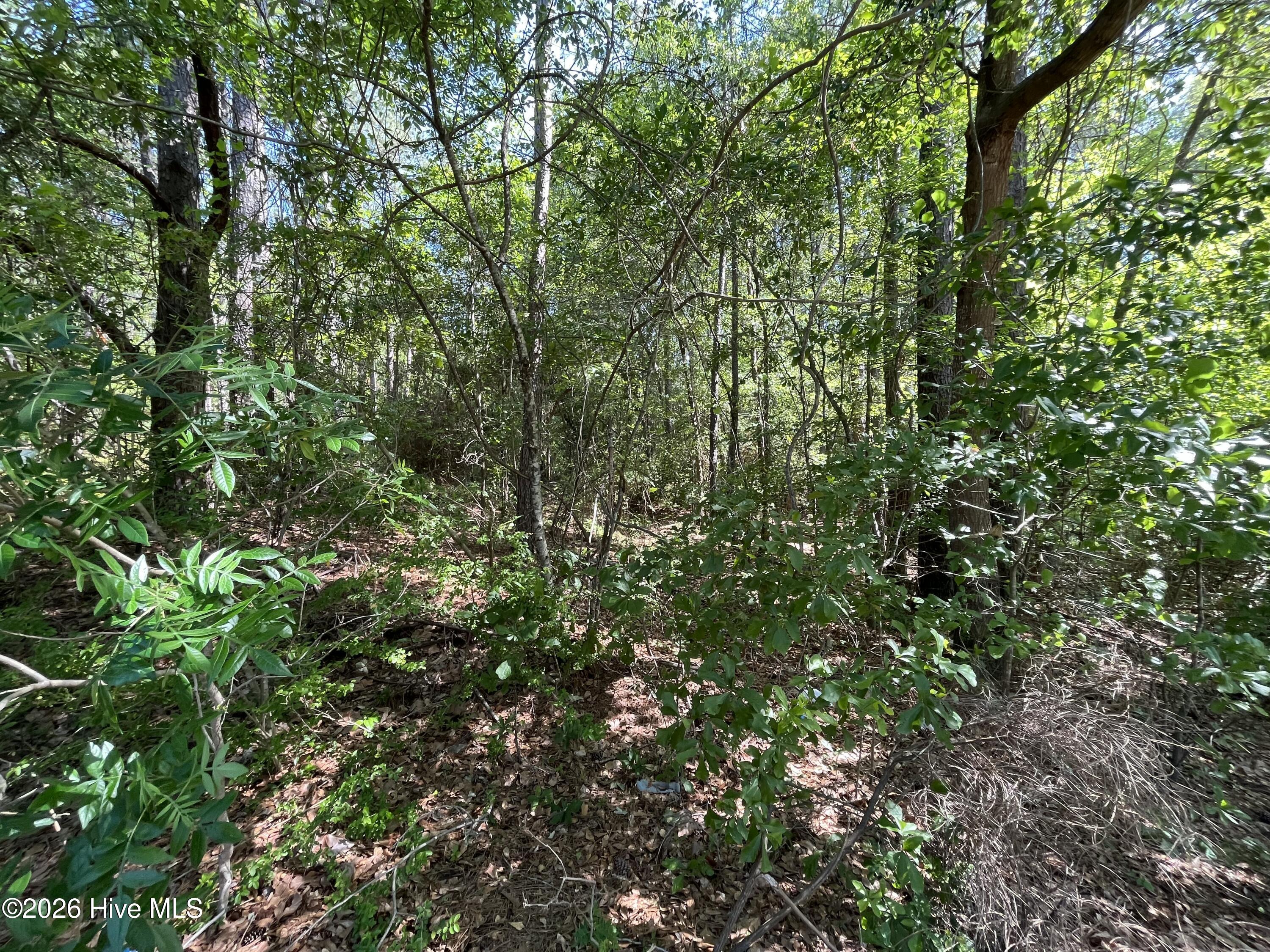 304 Eastman Road Property Photo 2