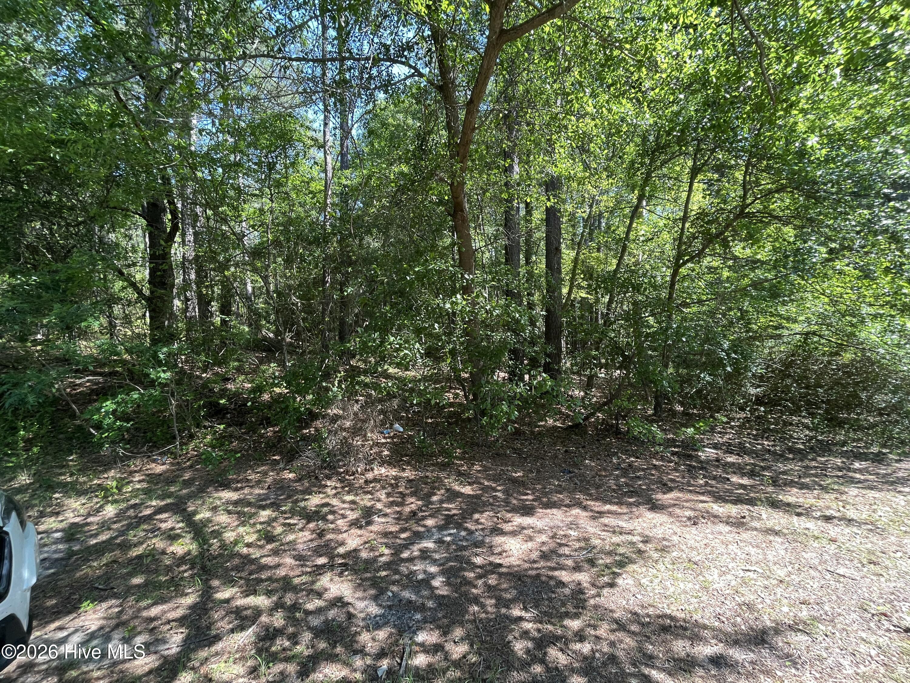 304 Eastman Road Property Photo 3