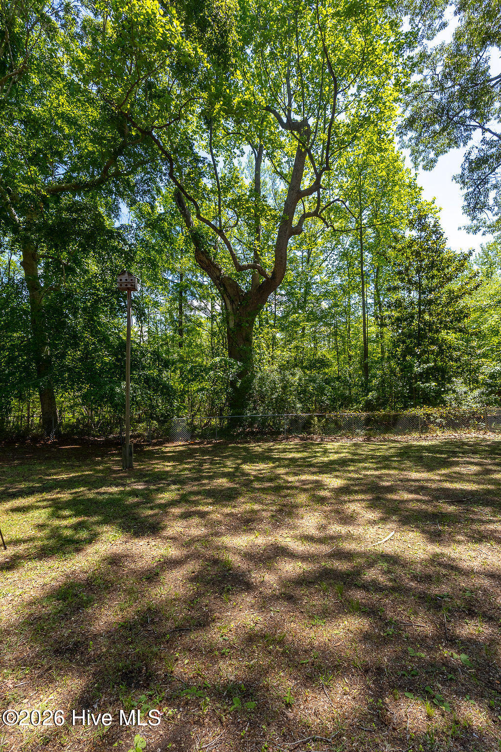 503 Castleton Drive Property Photo 56