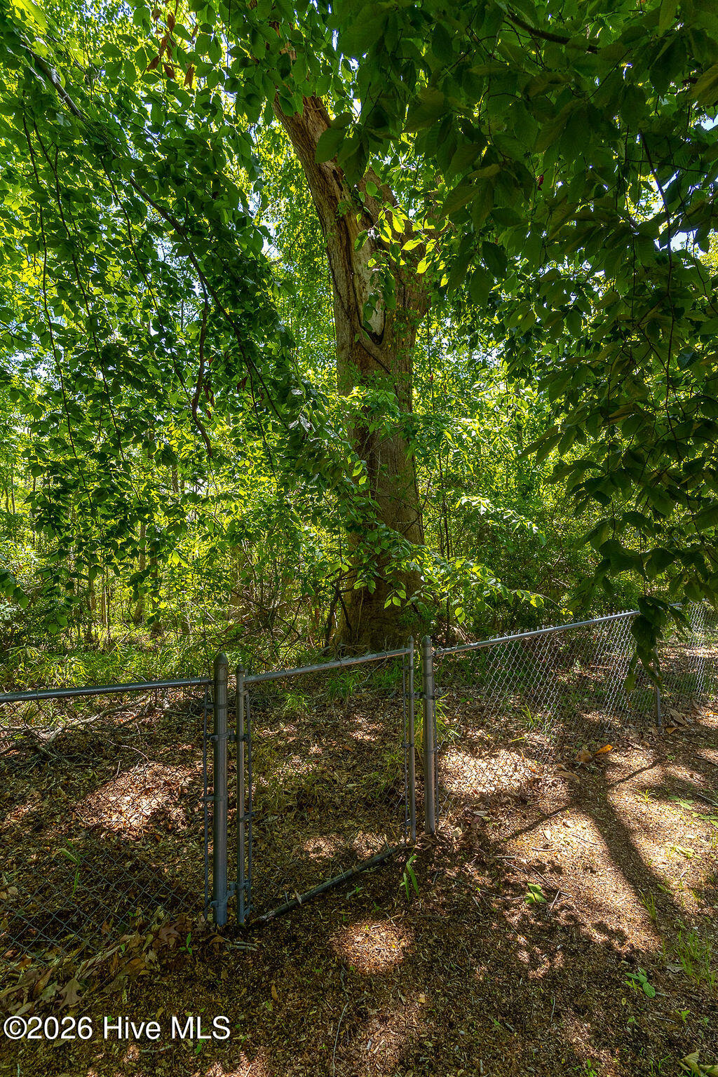 503 Castleton Drive Property Photo 69