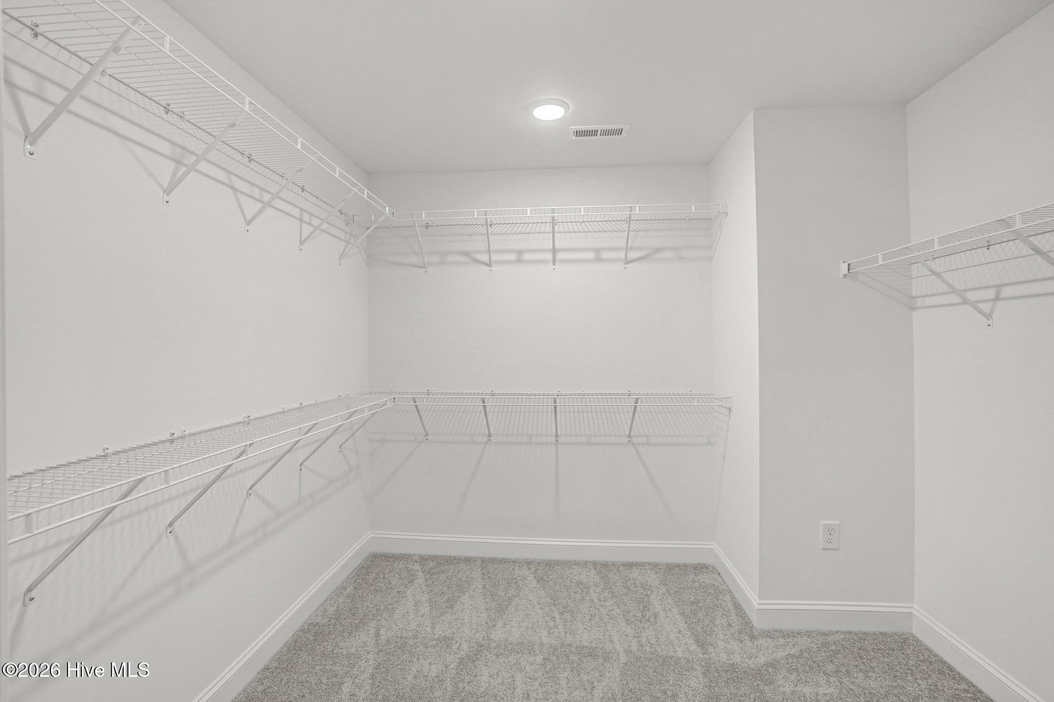 420 Albion Court Property Photo 36