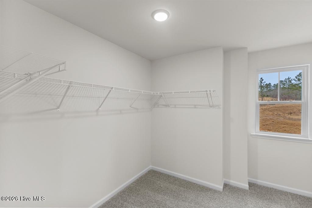 303 Balbriggan Place Property Photo 23