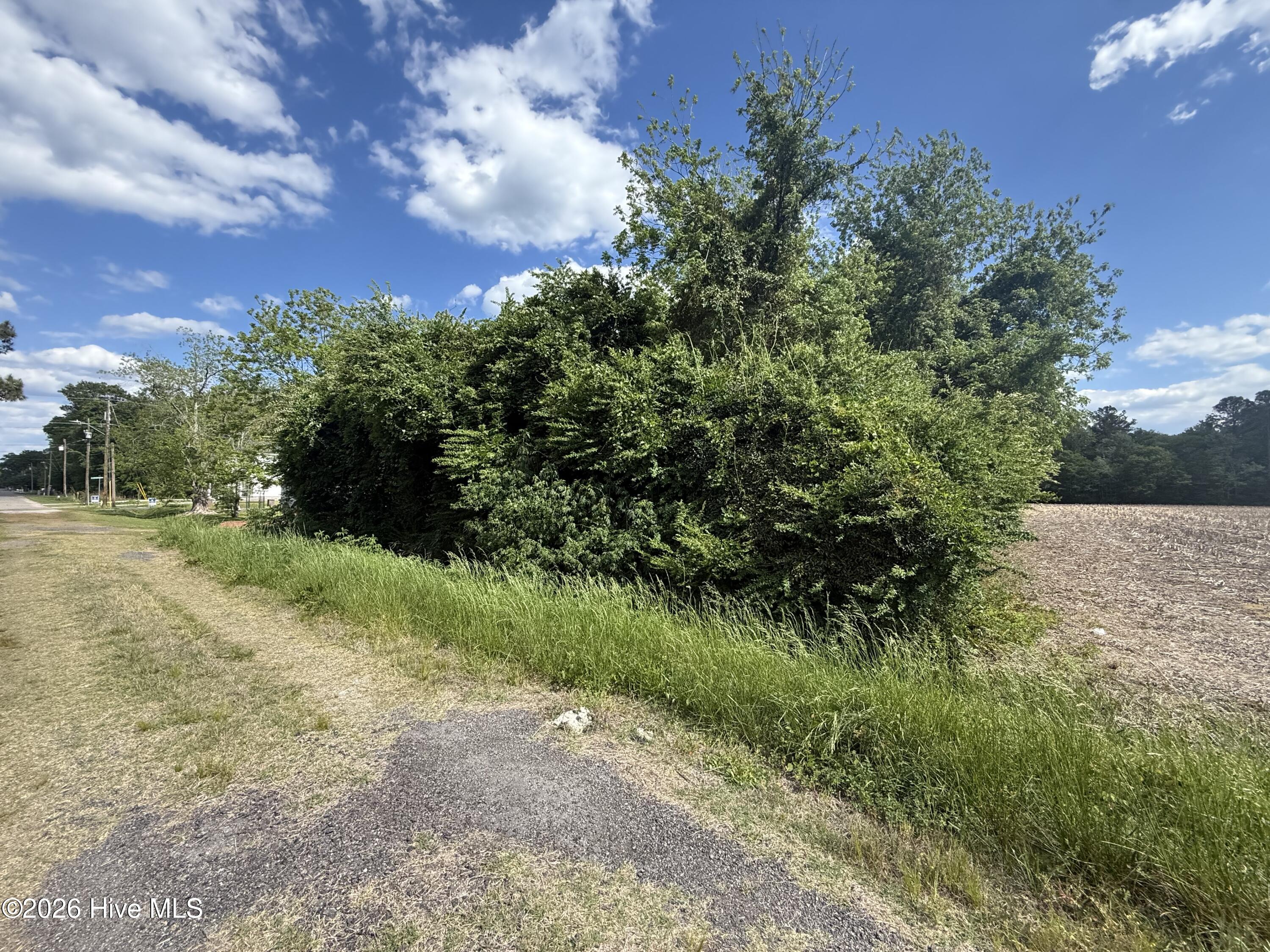 4 4 W Hayes Street Property Photo 2