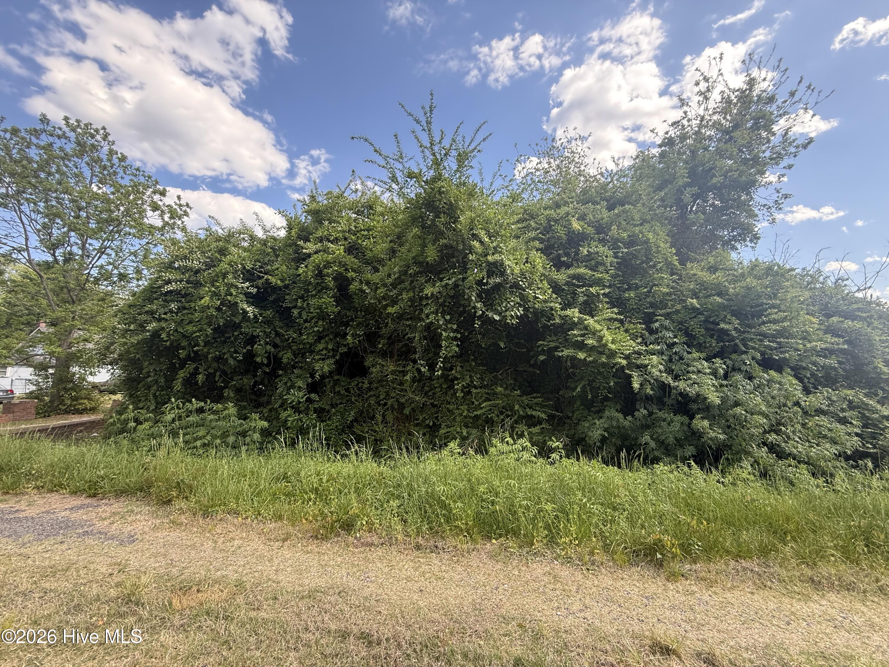4 4 W Hayes Street Property Photo 3