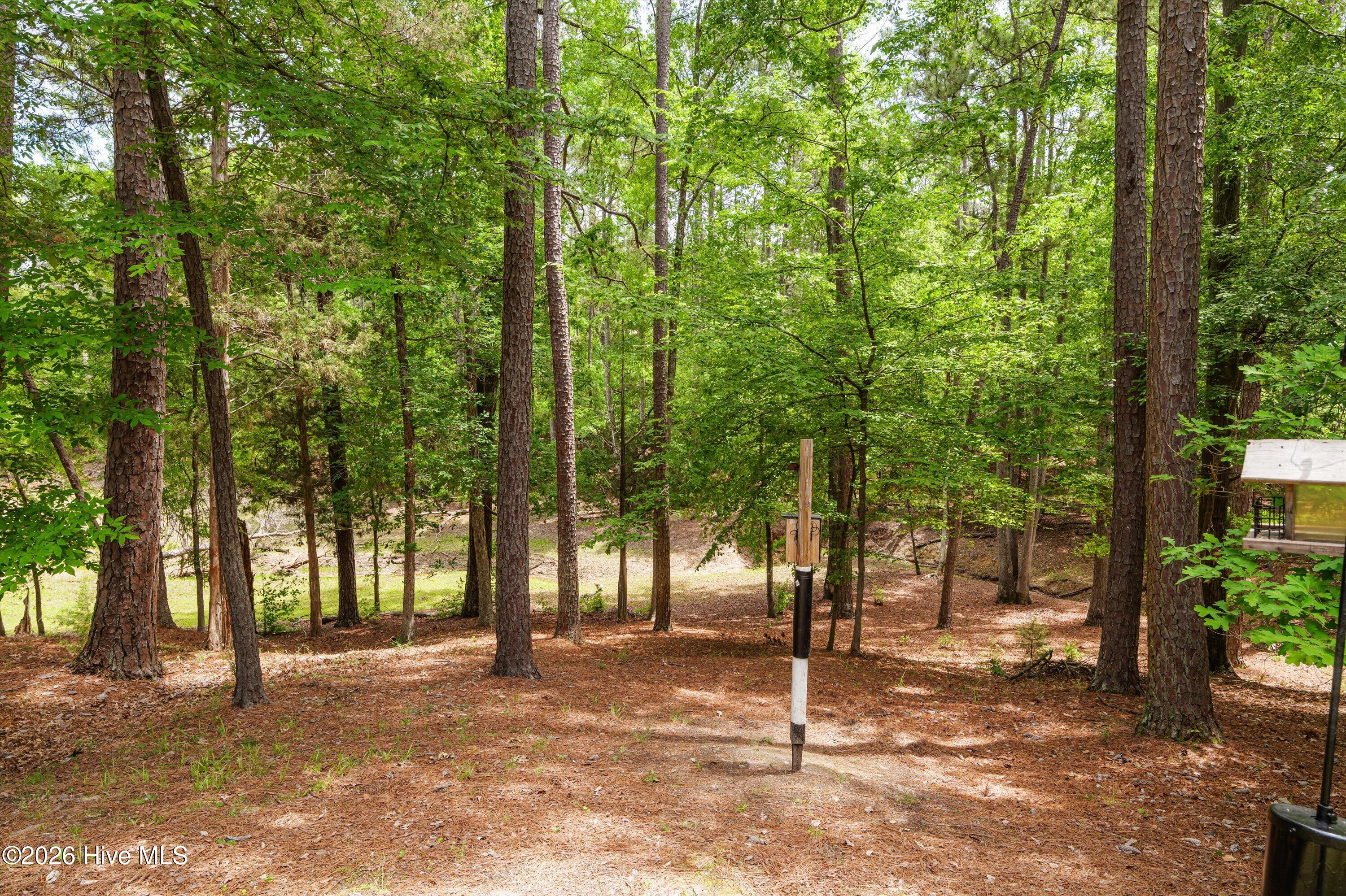 125 Lake Ridge Drive Property Photo 45