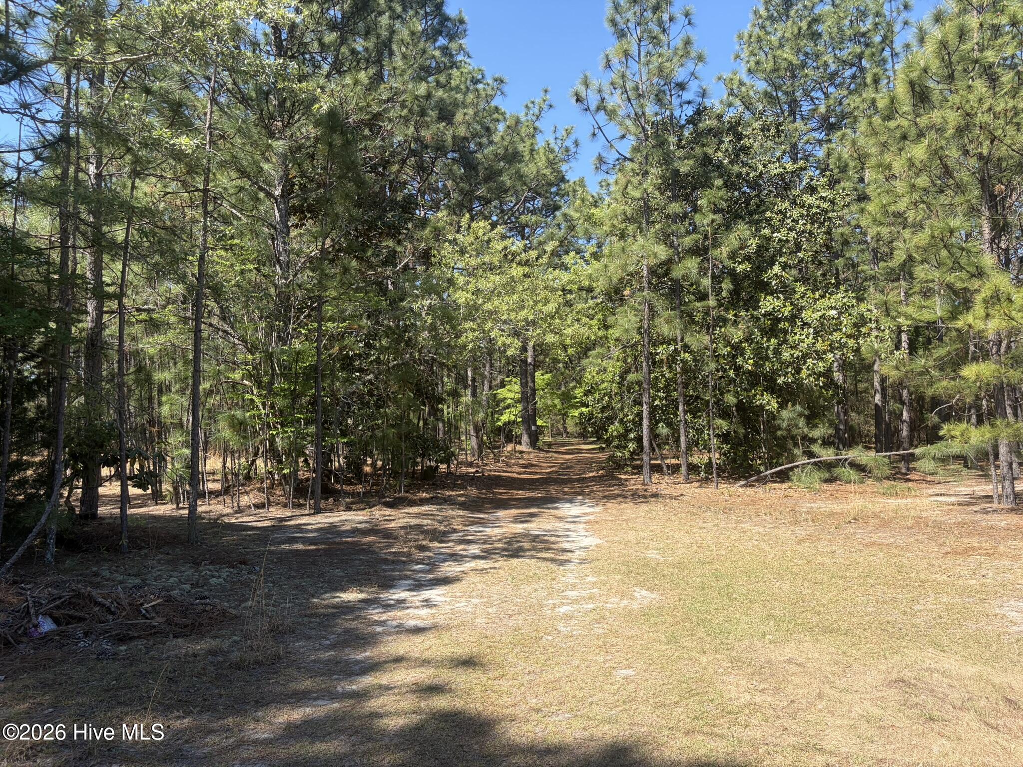 5324 Us 1 Highway Property Photo 7
