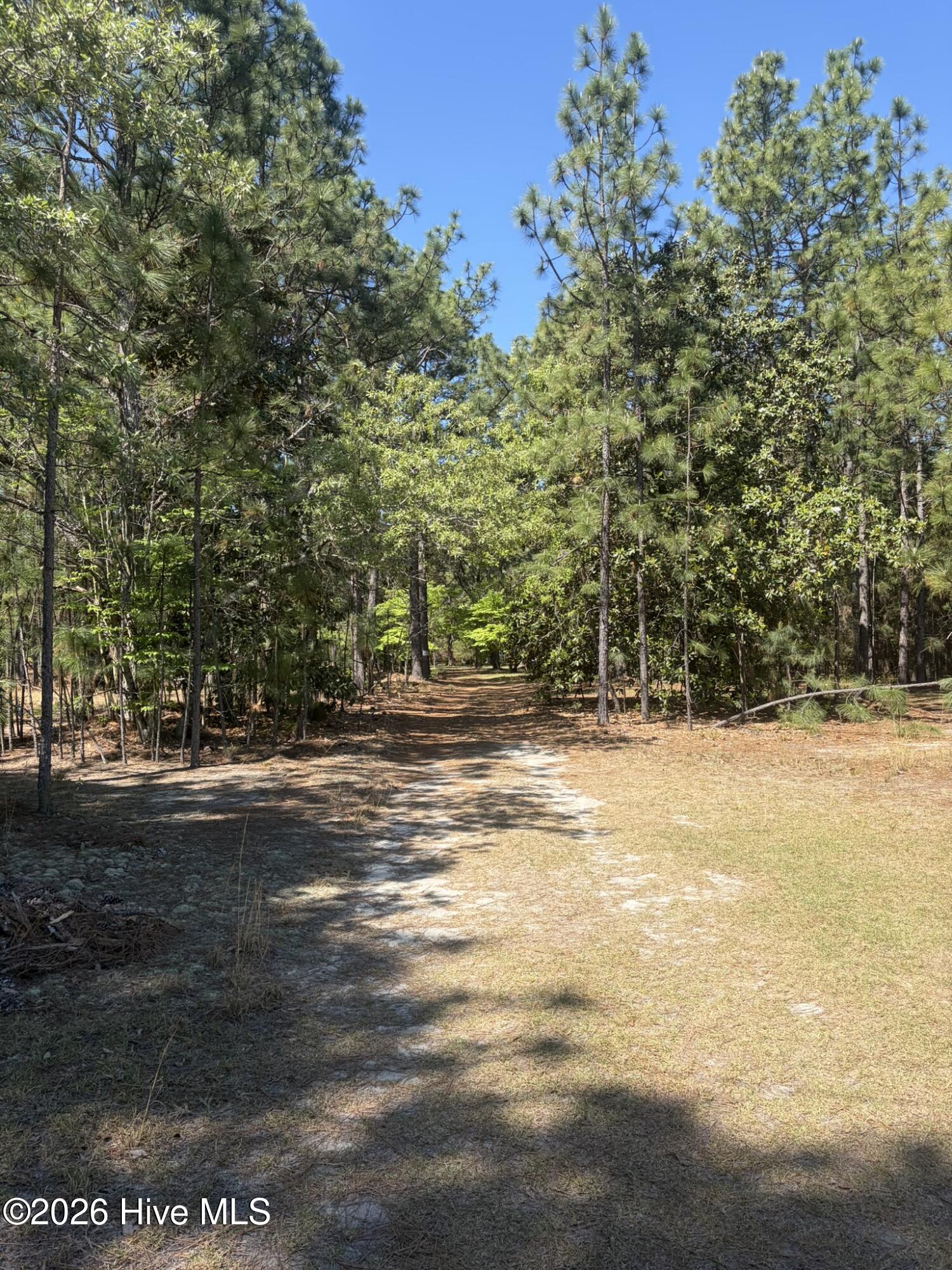 5324 Us 1 Highway Property Photo 8
