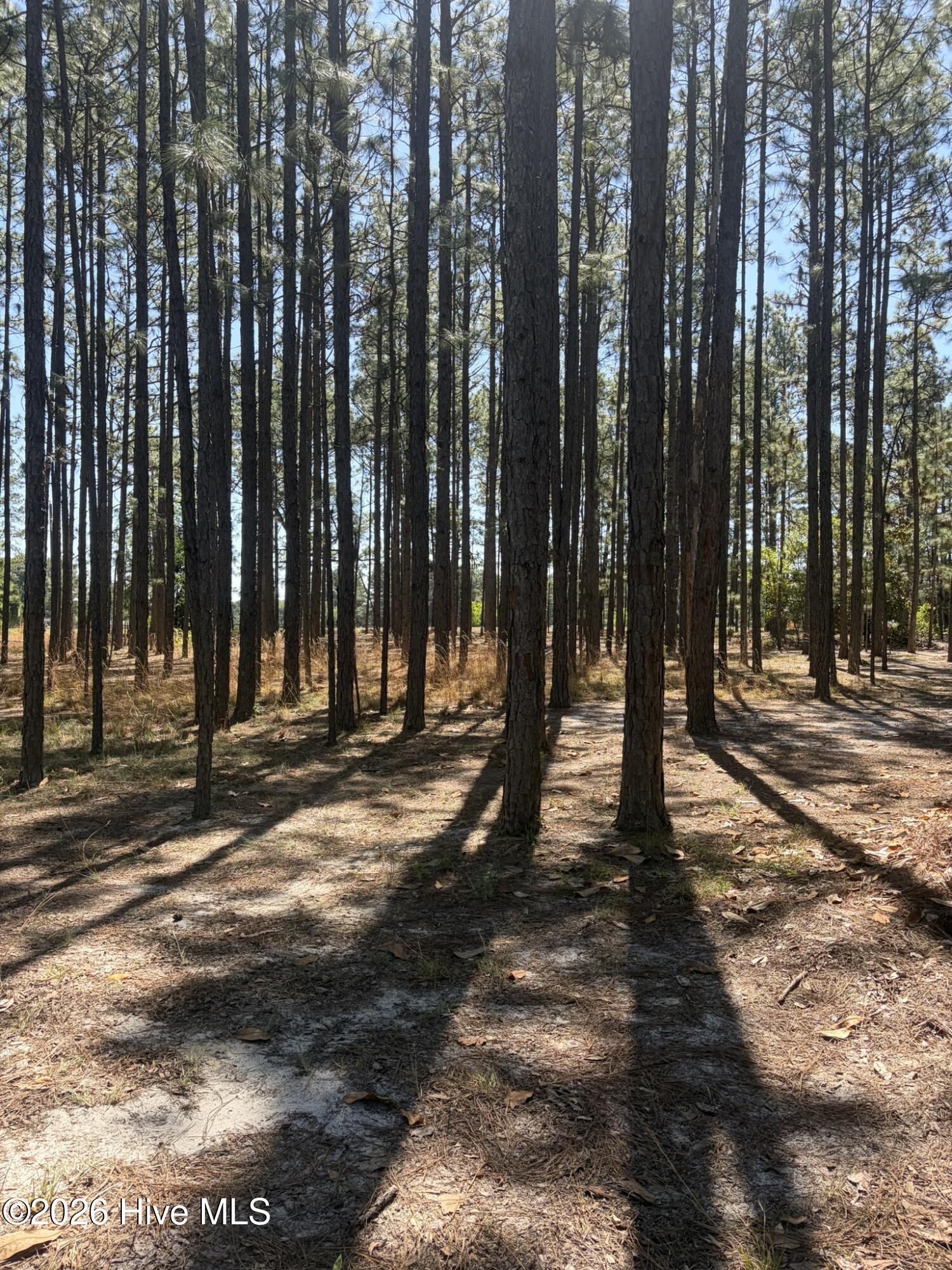 5324 Us 1 Highway Property Photo 19