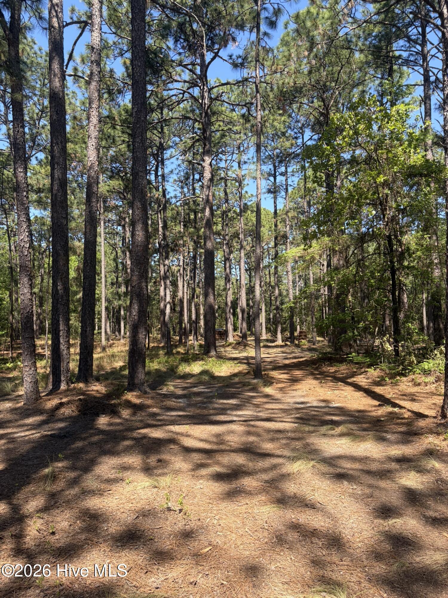 5324 Us 1 Highway Property Photo 21