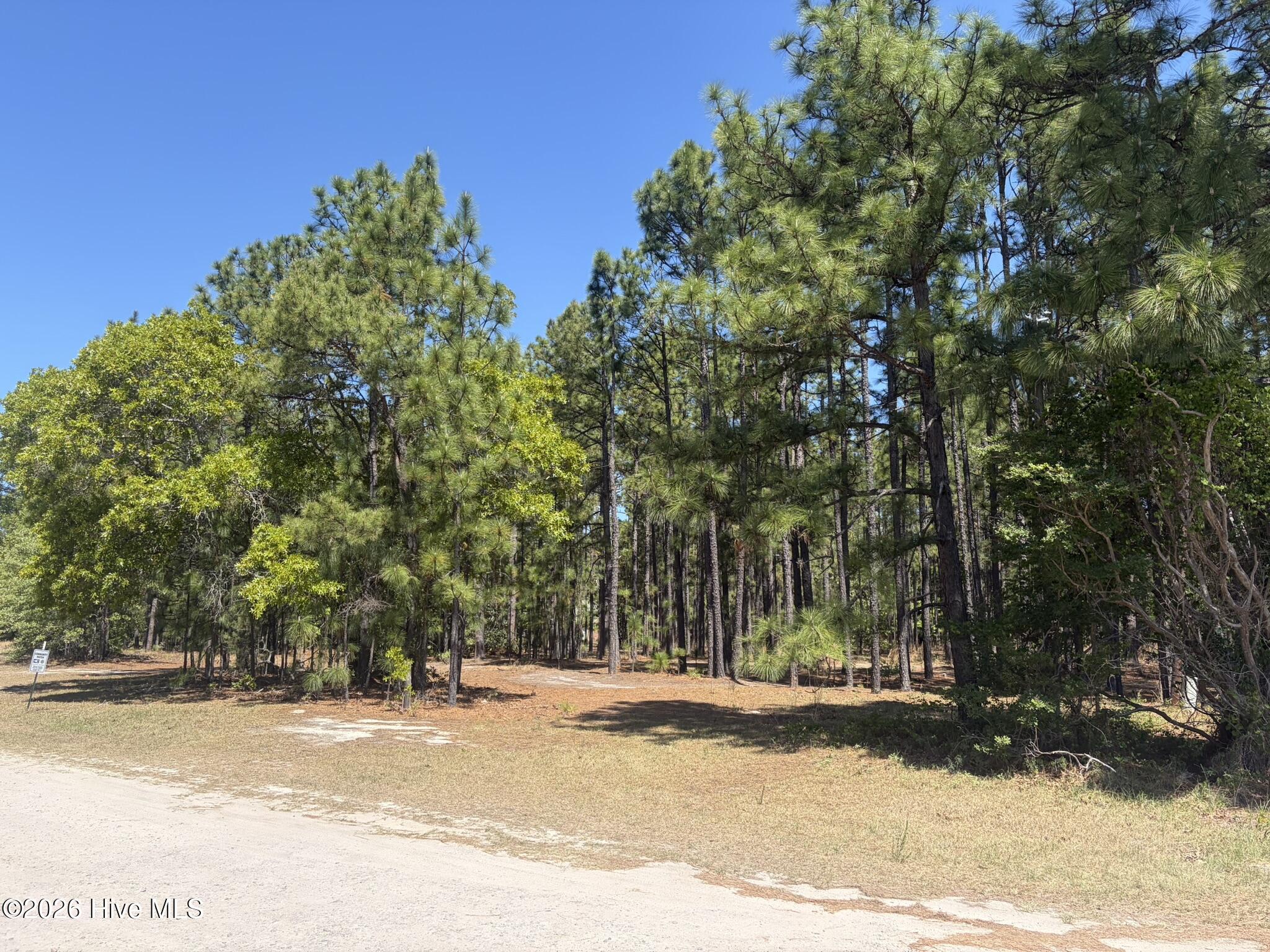 5324 Us 1 Highway Property Photo 23