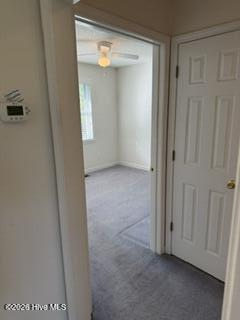 115 Pine Street Property Photo 26