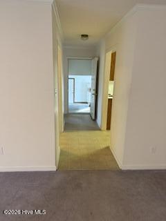 115 Pine Street Property Photo 42