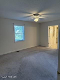 115 Pine Street Property Photo 51