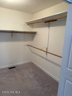 115 Pine Street Property Photo 59