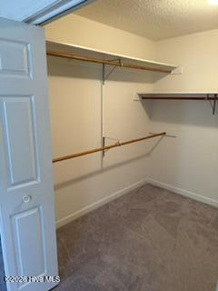 115 Pine Street Property Photo 61