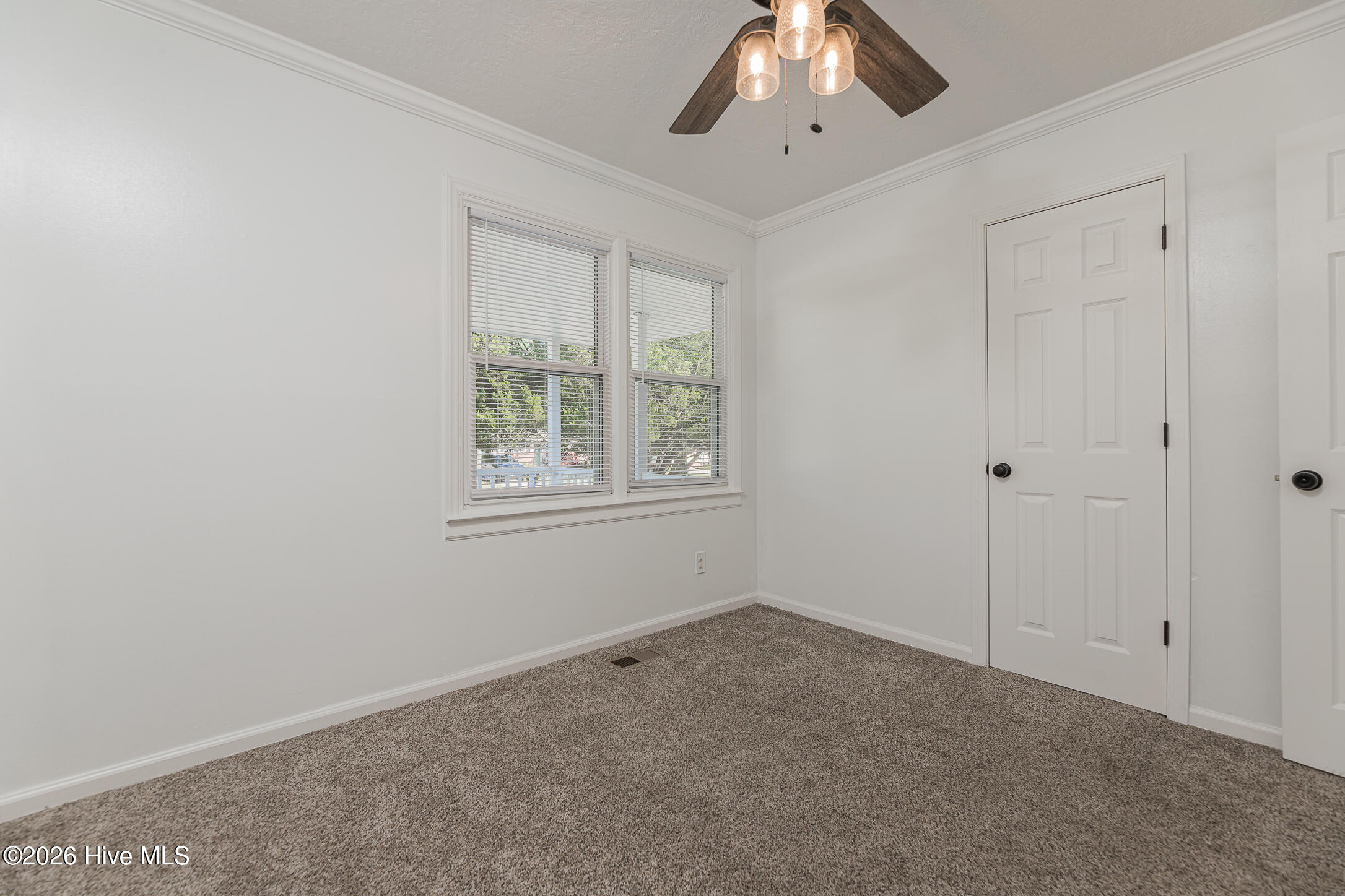 1009 River Street Property Photo 22