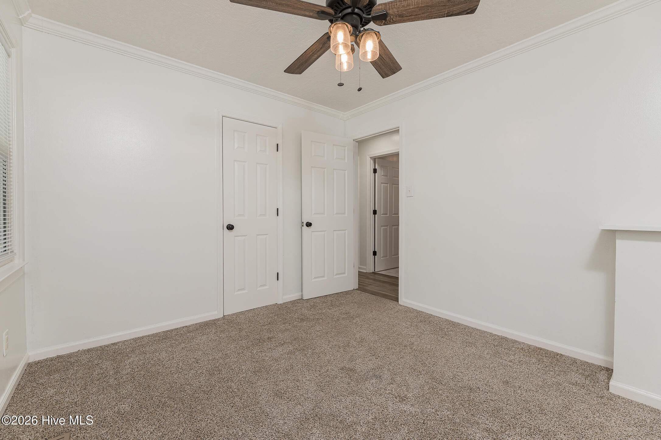 1009 River Street Property Photo 23